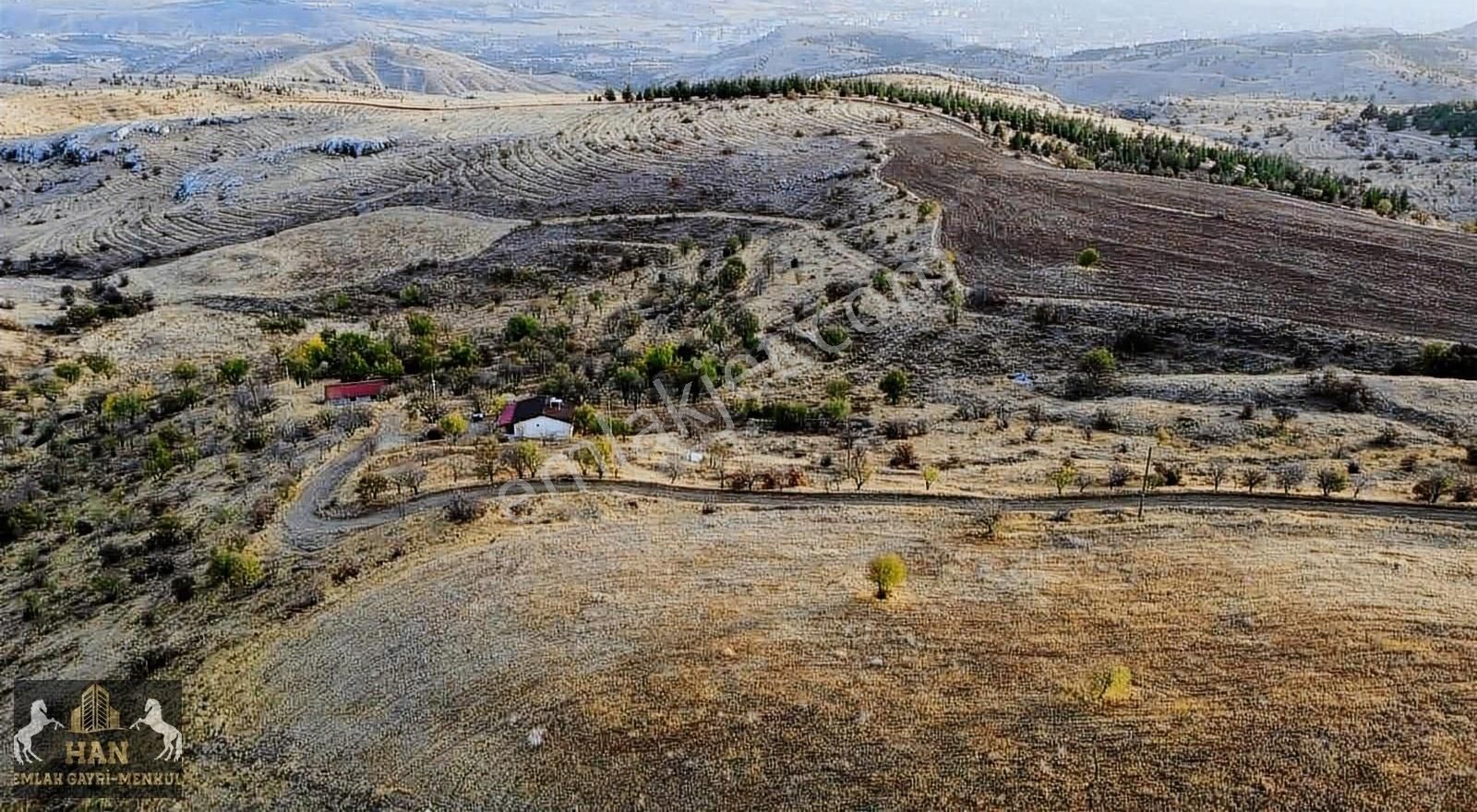 Elazığ Merkez Harput Satılık Tarla Han Emlaktan Harputta 130 Dönüm Satılık Arazi