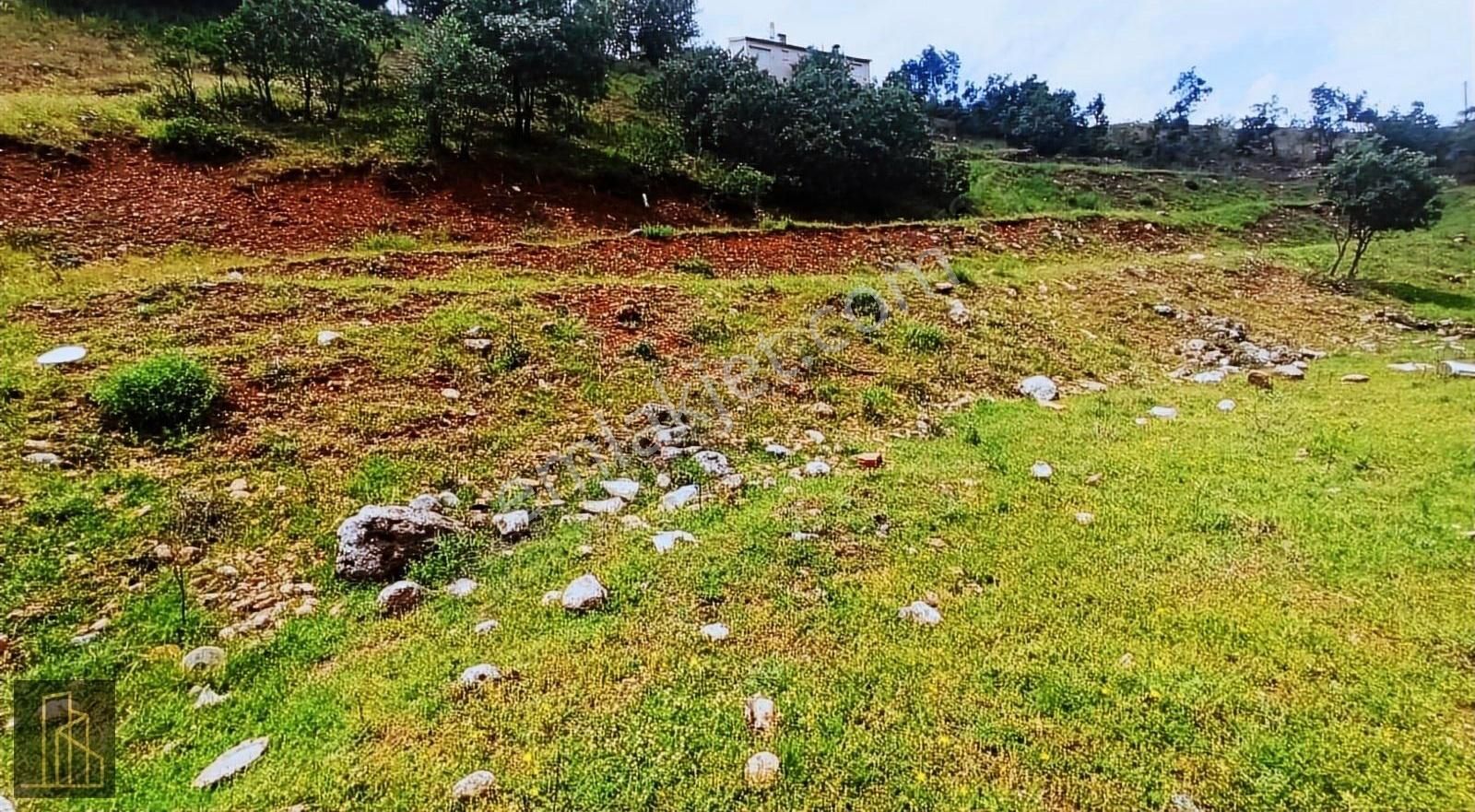 Tunceli Merkez İsmet İnönü Satılık Villa İmarlı Tunceli Merkez Harçik Bölgesinde Alt Yapısı Hazır Arsa