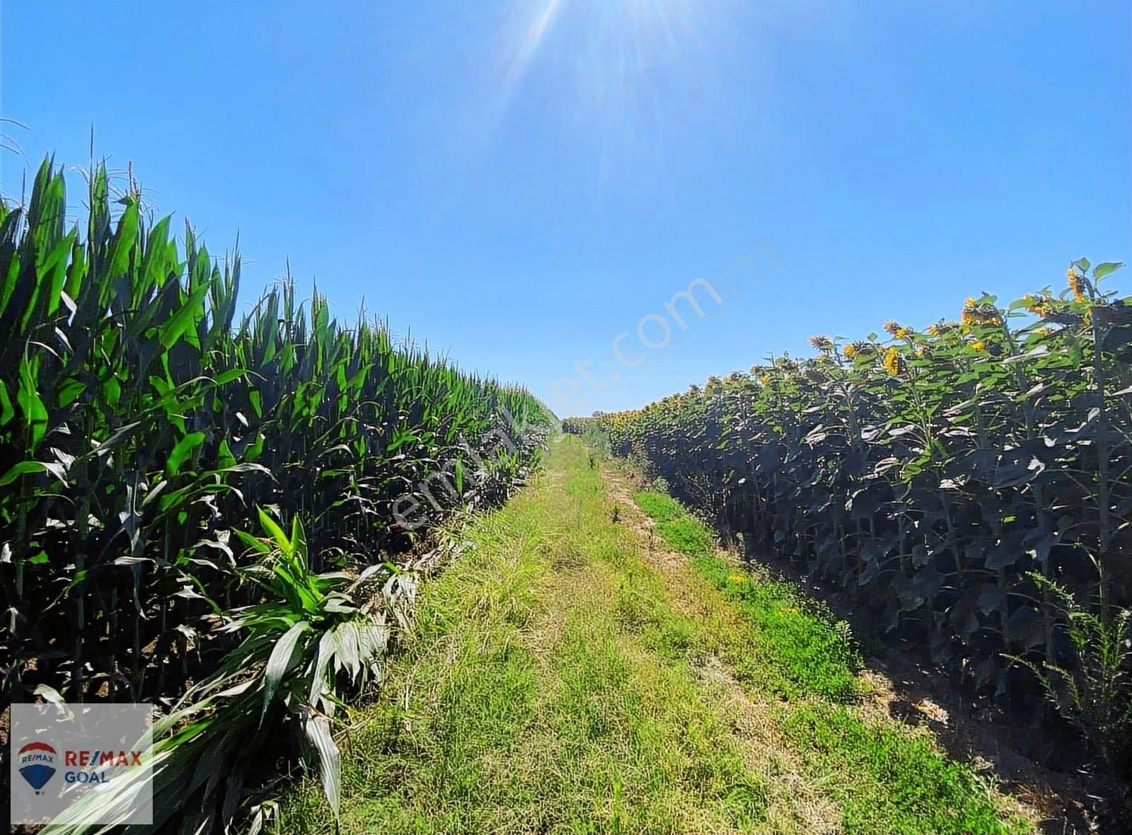 Edirne Merkez Bosna Köyü Satılık Tarla Edirne Karaağaç'ta 31500m2 Yunanistan Sınırına 200m 3 Ayrı Tarla