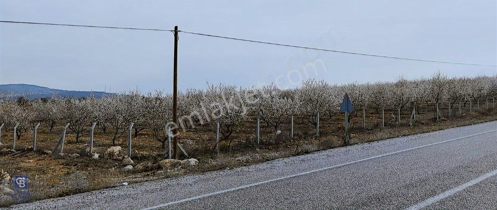 Serinhisar Ayaz Satılık Tarla Serinhisar Ayaz'da 14 Dönüm Satılık Badem Bahçesi