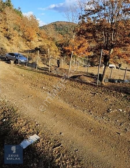 Yenice Aşağıçavuş Köyü Satılık Tarla Aşağıçavuş Köyünde Aktif Tarımcılık Yapılan Yatırımlık Tarla