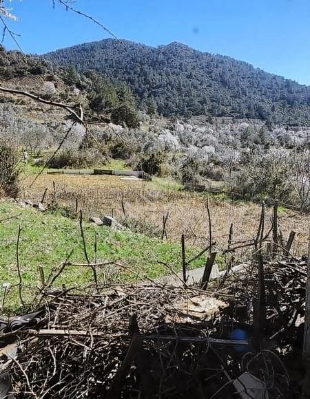 Seydikemer Arsaköy Satılık Tarla Muğla Seydikemerde Arsa Köyünde Satılık Tarla