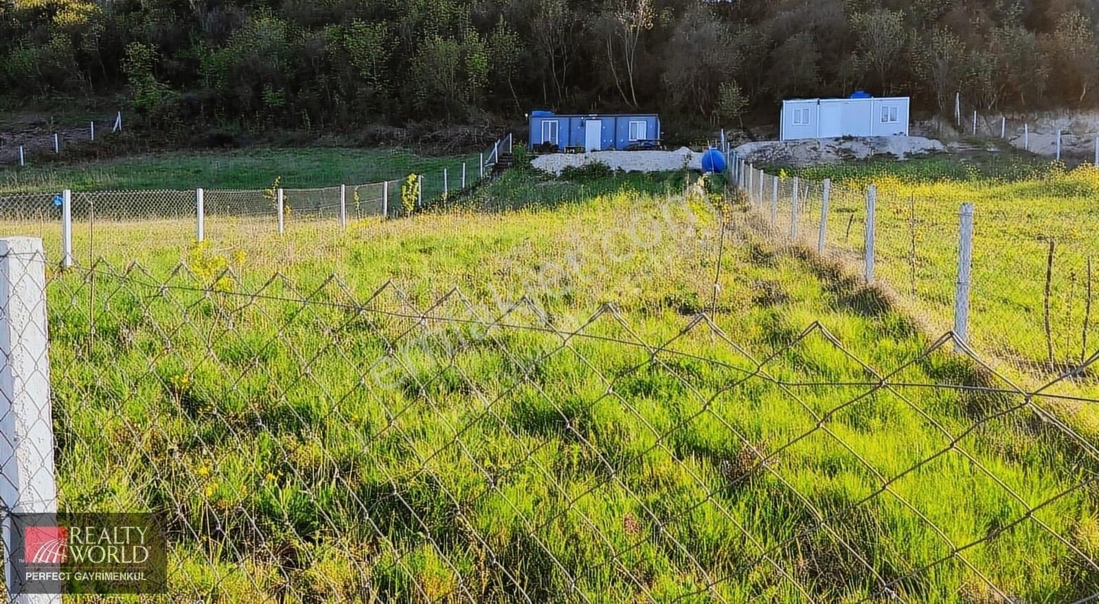 Çatalca/yazlık Köyü 871 M2 Hisseli Arkası Orman Önü Açık Ferah - Görsel 27