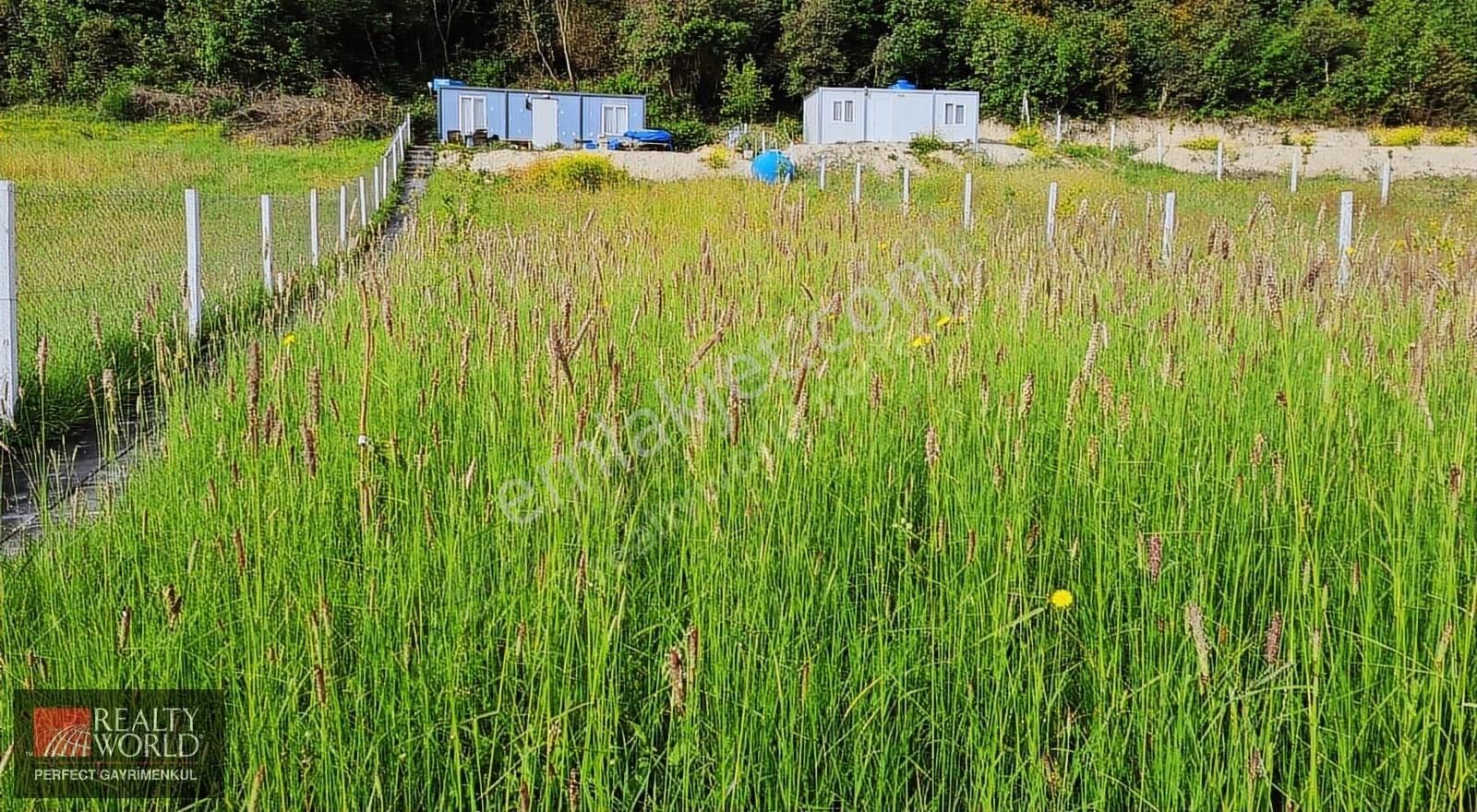 Çatalca Yazlık Satılık Tarla Çatalca/yazlık Köyü 871 M2 Hisseli Arkası Orman Önü Açık Ferah