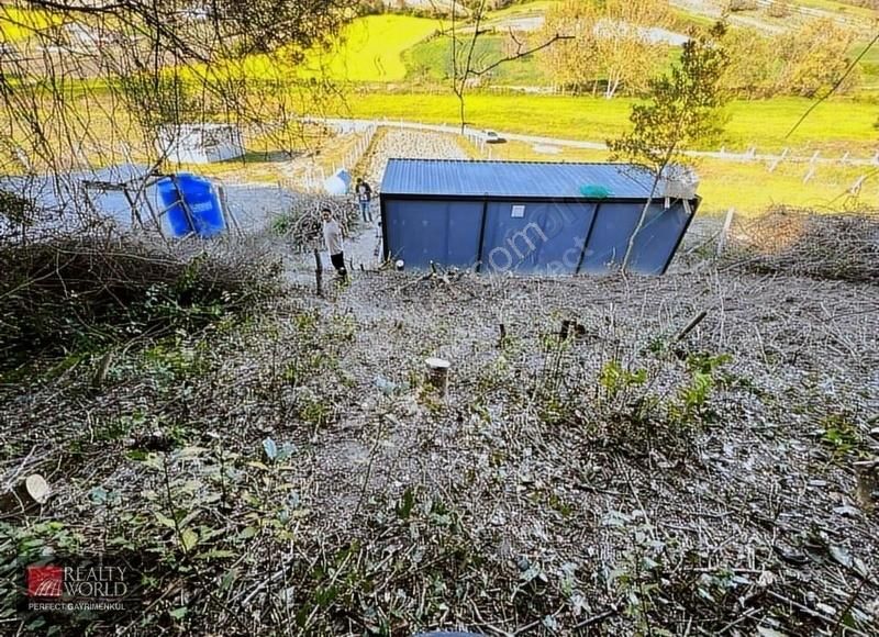 Çatalca/yazlık Köyü 871 M2 Hisseli Arkası Orman Önü Açık Ferah - Görsel 29