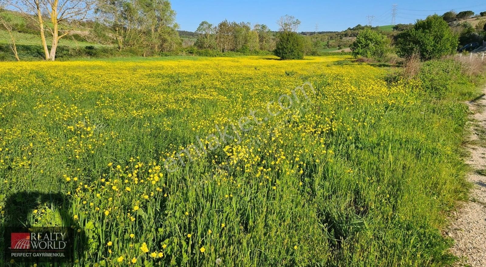 Çatalca/yazlık Köyü 871 M2 Hisseli Arkası Orman Önü Açık Ferah - Görsel 13