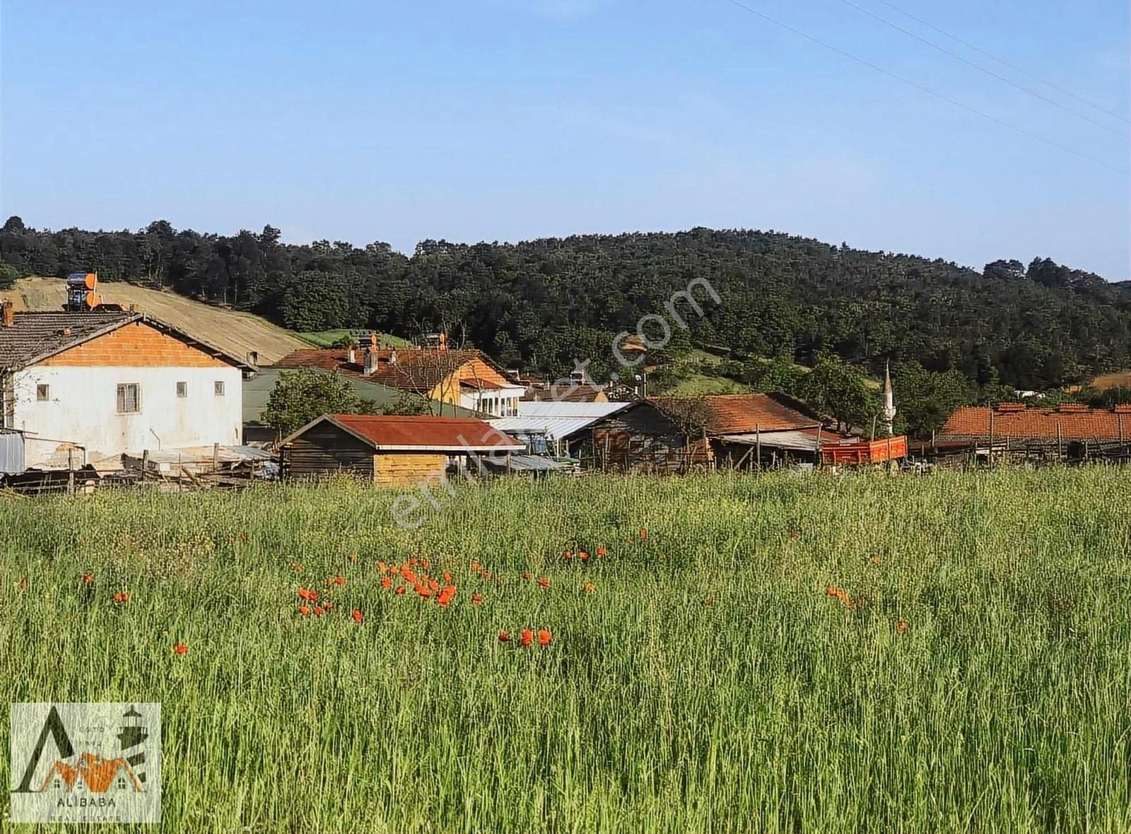 Şile Çengilli Satılık Konut İmarlı Şile Ali Baba Emlaktan Çengilli'de İmarlı Yatırımlık 300m2 Hisse