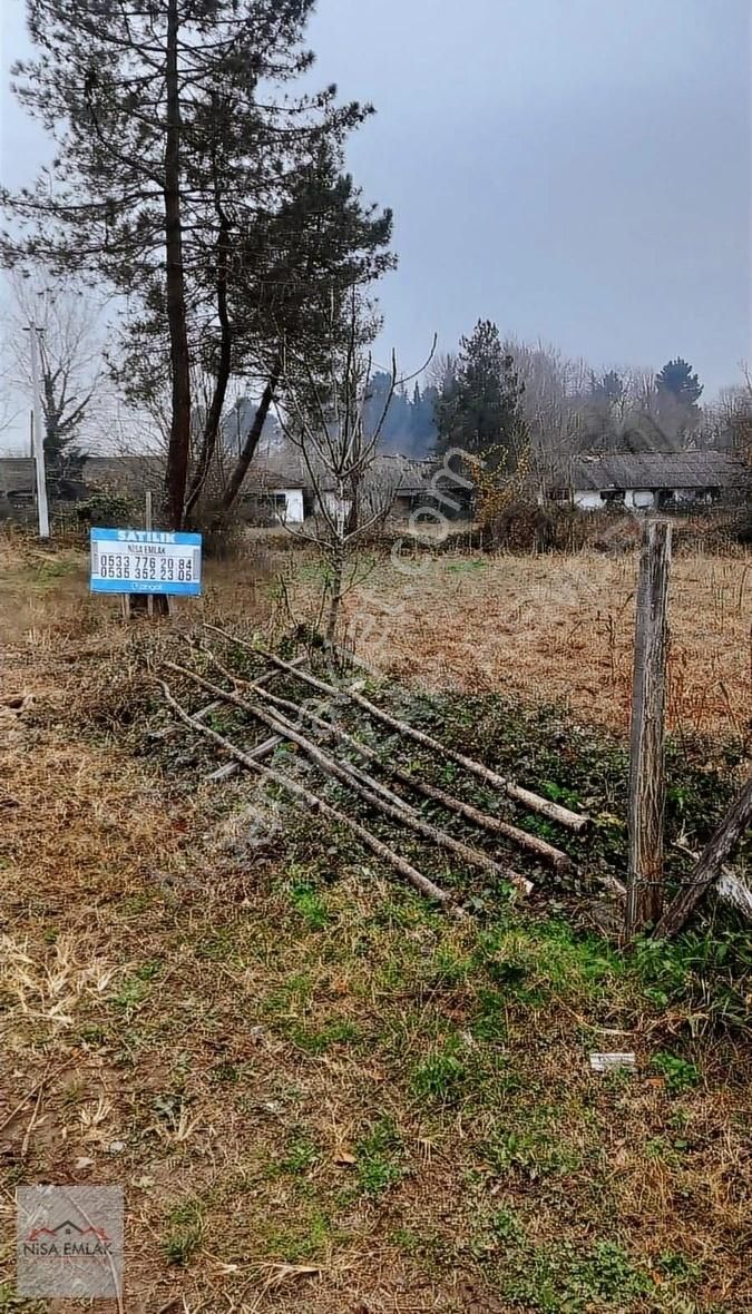 Hendek İkbaliye Satılık Konut İmarlı Köy İçi İmarlı Arsa