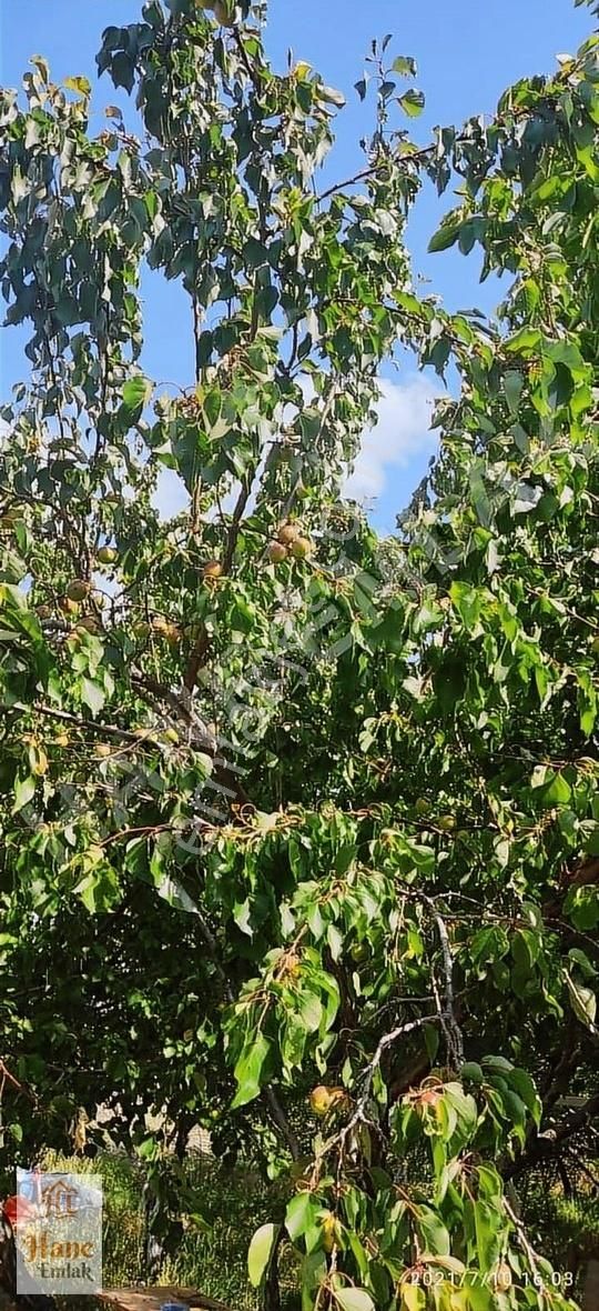 Yozgat Merkez Kuyumcu Köyü Satılık Tarla Hane Emlak'tan Kuyumcuda Satılık Bağ Evi