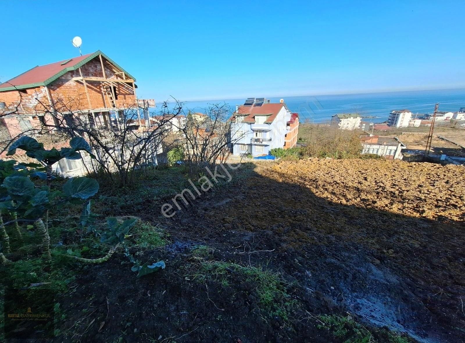 Fatsa Yenipazar Satılık Tarla Yeni Pazar Mahallesinde Deniz Manzaralı Villalık Arsa