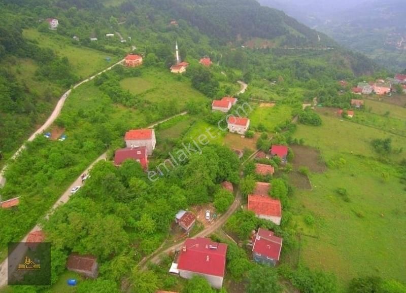 Türkeli Kuşçular Köyü (Merkez) Satılık Bağ & Bahçe Türkeli Kuşcular'da Denize Yakın Elk-yol-su Sorunsuz Fındık Bhçe