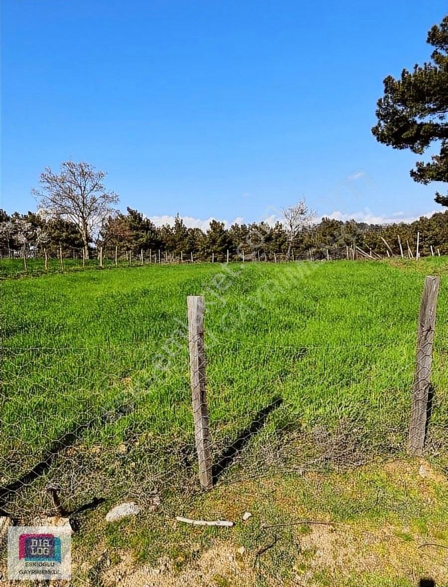 Bayramiç Alakeçi Köyü Satılık Tarla Köye Yakın Konumda Bir Arsa Fiyatına 2 Arsa Birde