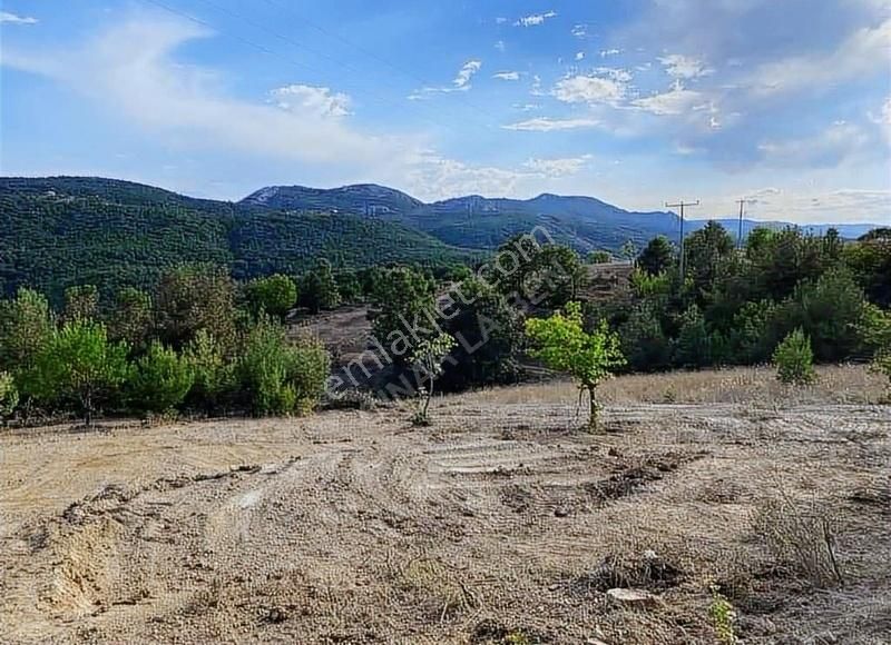 İznik Çampınar Satılık Tarla Acill !! Hem Manzaralı Hem Hesaplı Bakmadan Geçme