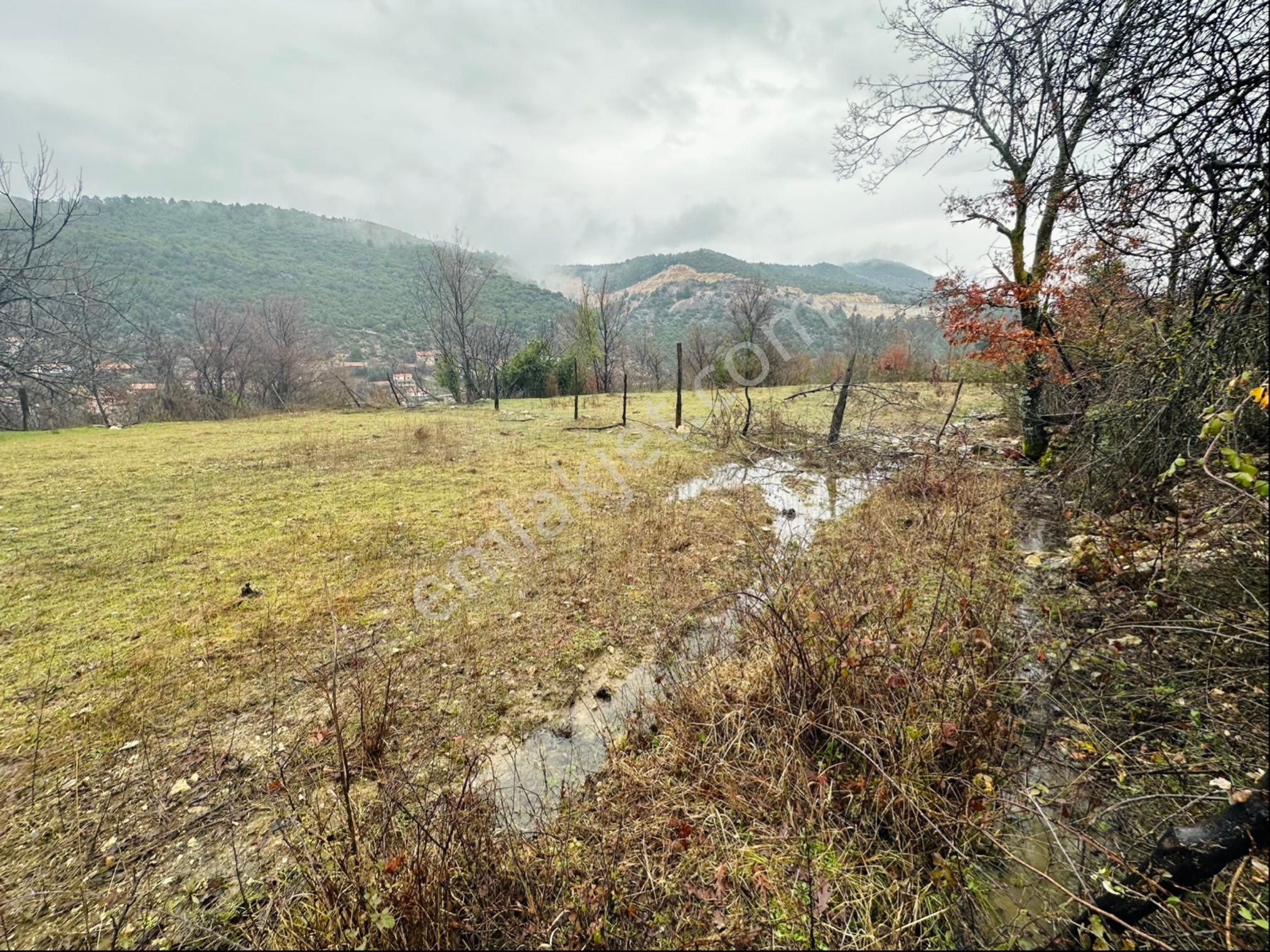 Antalya Akseki Cendeve'de Satılık Tek Tapu Tarla - Görsel 9