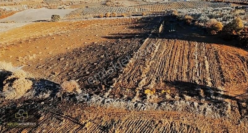 Salihli Poyraz Satılık Tarla Küçük Menderes'ten Manisa Salihli Poyraz Mah. Satılık Zeytinlik