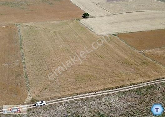 Yunusemre Muradiye Satılık Tarla Orhan Emlak'tan Satılık Cbü Karşısı 18.000m² Köşe Parsel