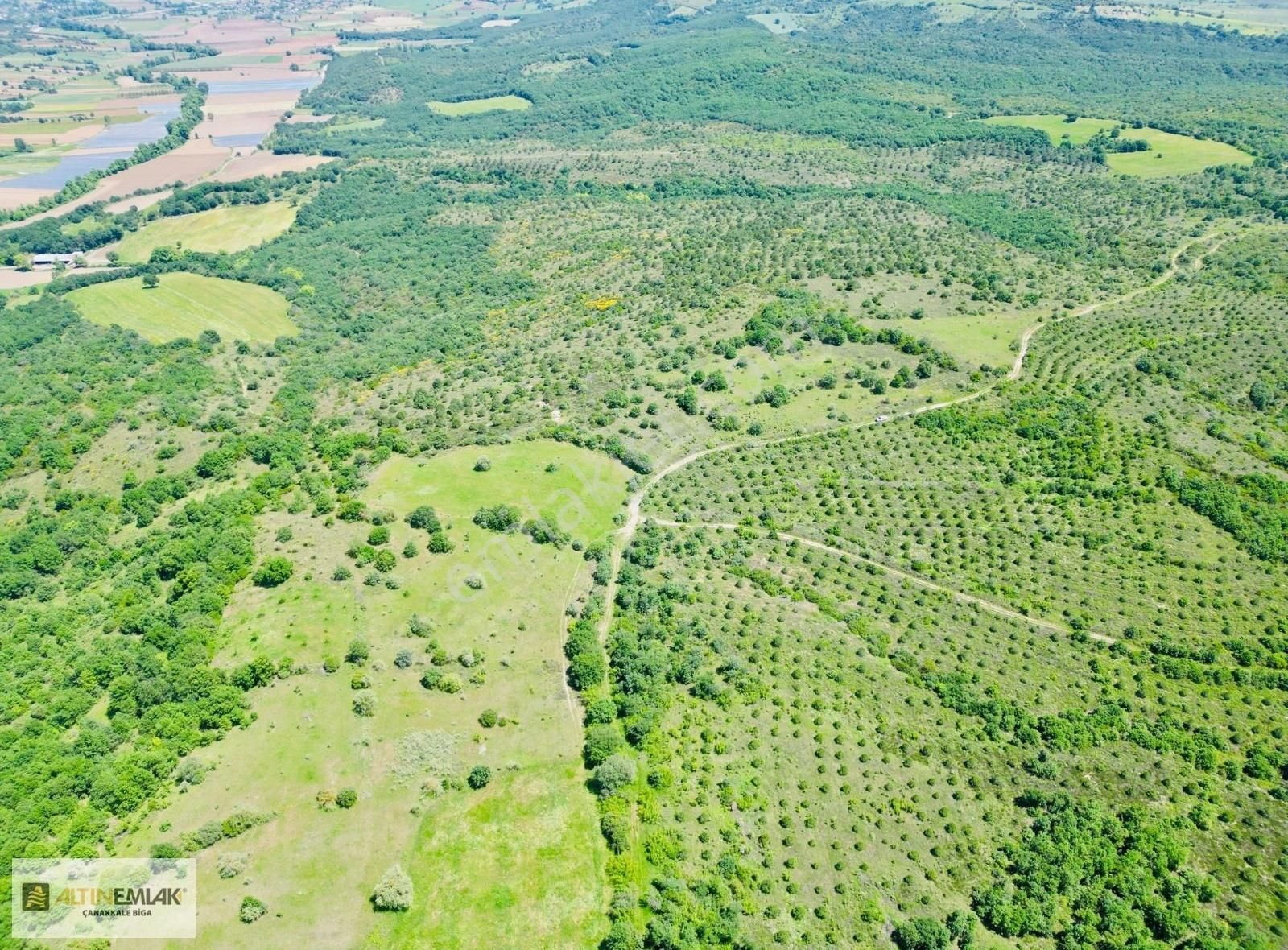 Biga Gürgendere Köyü Satılık Tarla Gürgenderede Yola Cephe 4650 M2