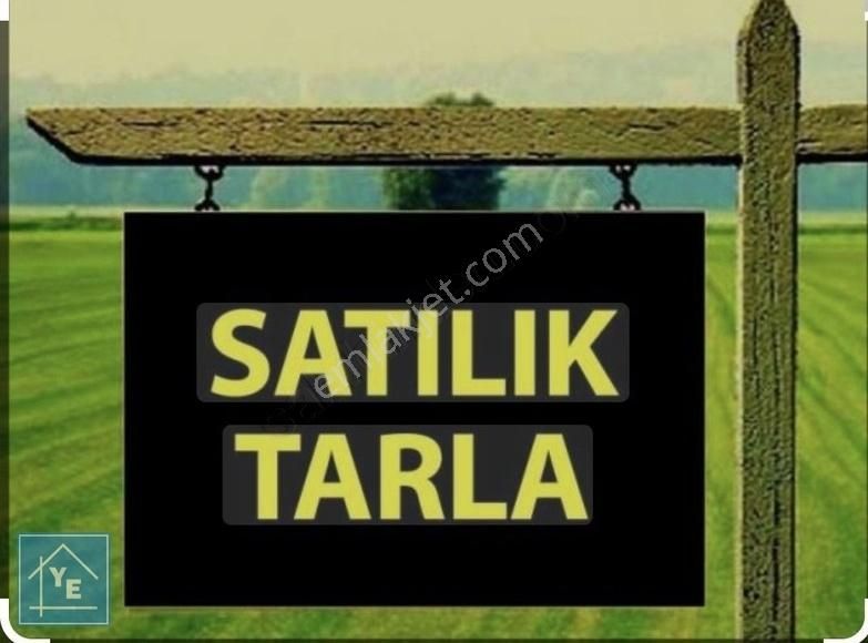 Mustafakemalpaşa Koşuboğazı Satılık Tarla Bursa Mustafakemalpaşa İzmir Yolu Üzerin De Satılık Arazi