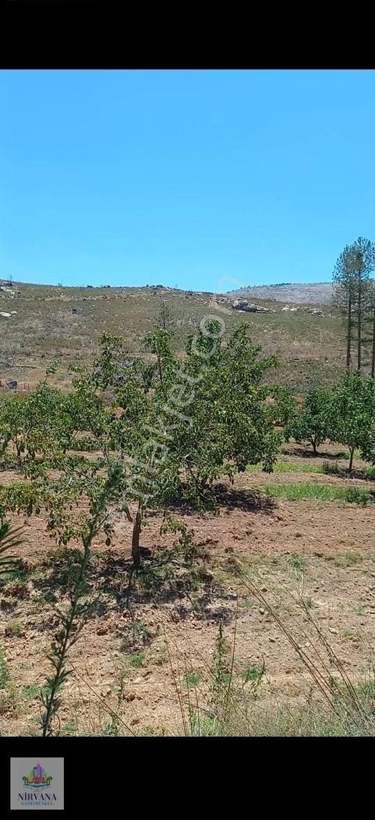 Kavaklıdere Çamlıbel Satılık Bağ & Bahçe Muğla/çamyayla Mh.de Mavi Boncuk&12 Dönüm Sulanabilir Bahçemiz