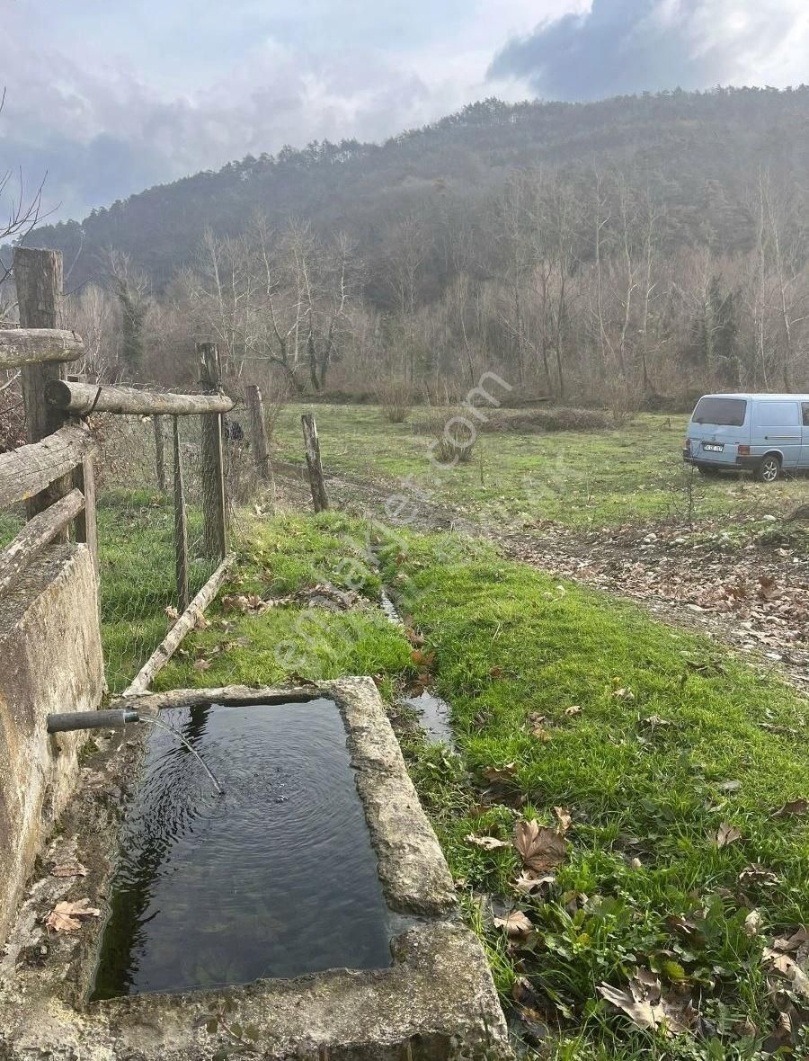 Mudurnu Ilıca Köyü Satılık Tarla 2.500 M2 Yolu Suyu Olan Harika Tarla