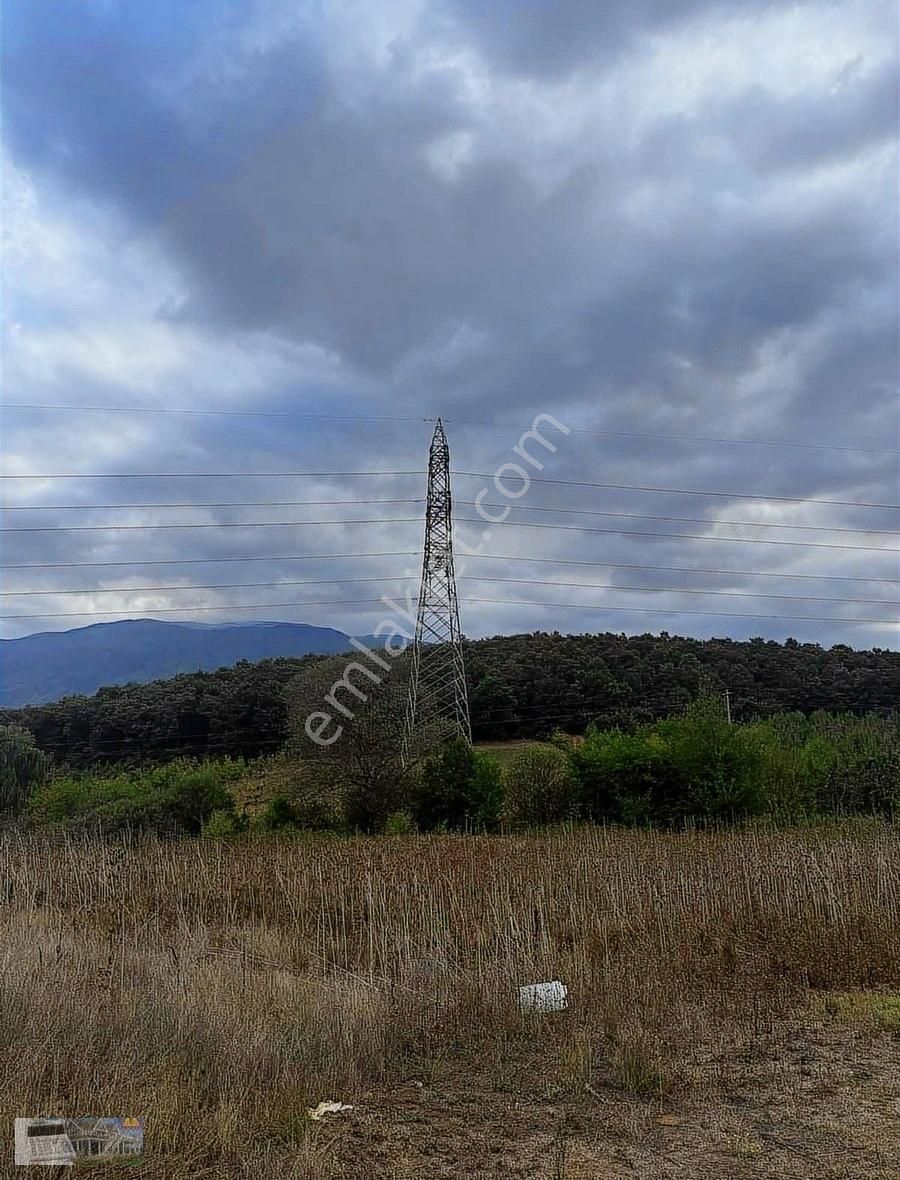 Kestel Kozluören Satılık Bağ & Bahçe Acil Fırsat Tapulu Bahçe Kısa Süreliğine Bu Fiyat