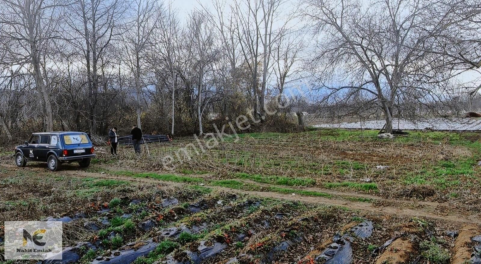 İnegöl Kurşunlu Satılık Tarla Kurşunlu'da Satılık 580m2tek Tapu Uygun Fiyatlı Hobi İçin Tarla