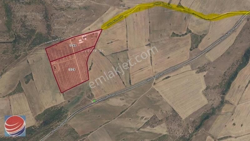 Kırklareli Merkez Eriklice Köyü Satılık Bağ & Bahçe Kırklareli Eriklice Köyünde 34.200 M2 Ceviz Bahcesi