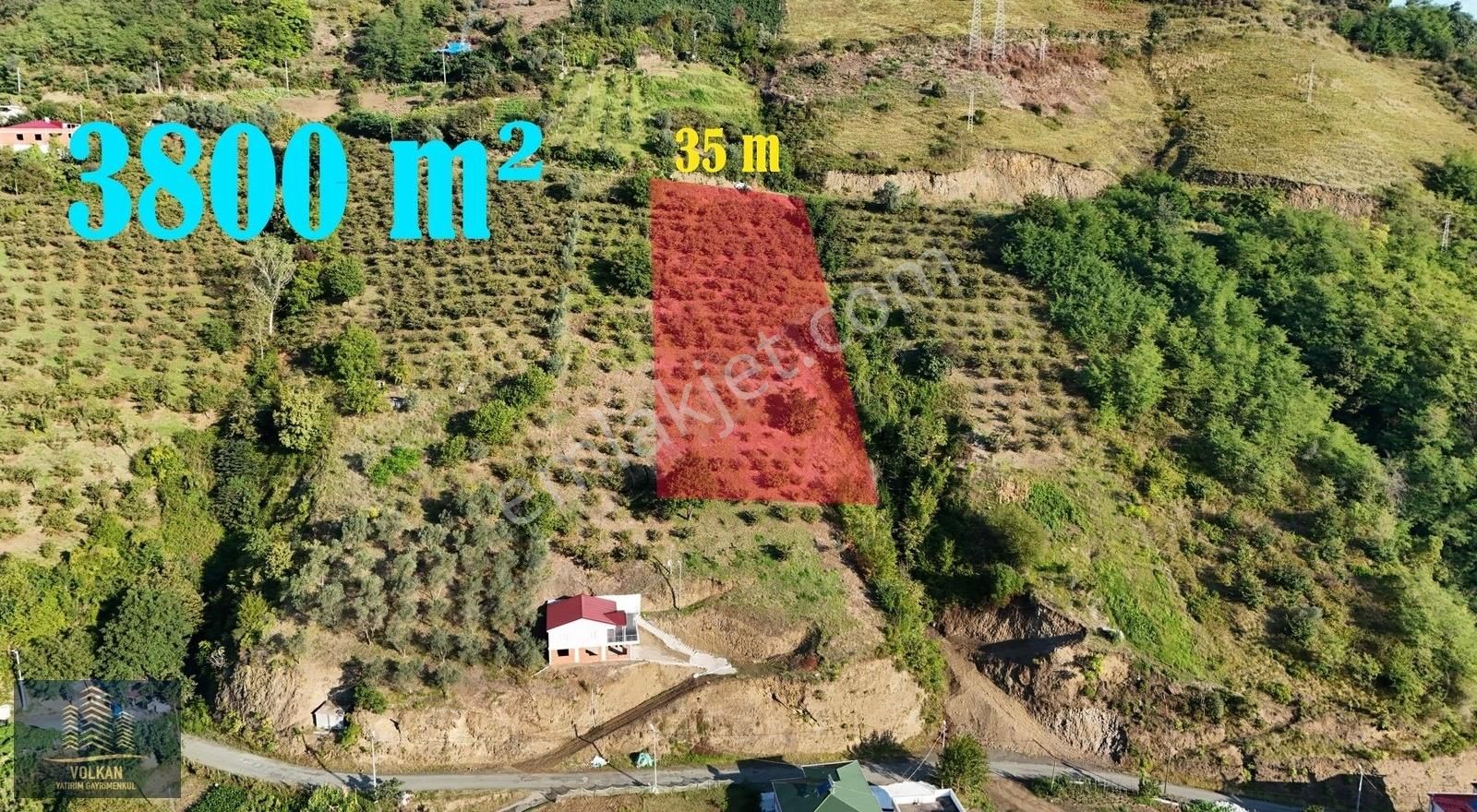 Akçaabat Darıca Satılık Tarla Darıca Mahallesinde 3800 M2 Satılık Arazi