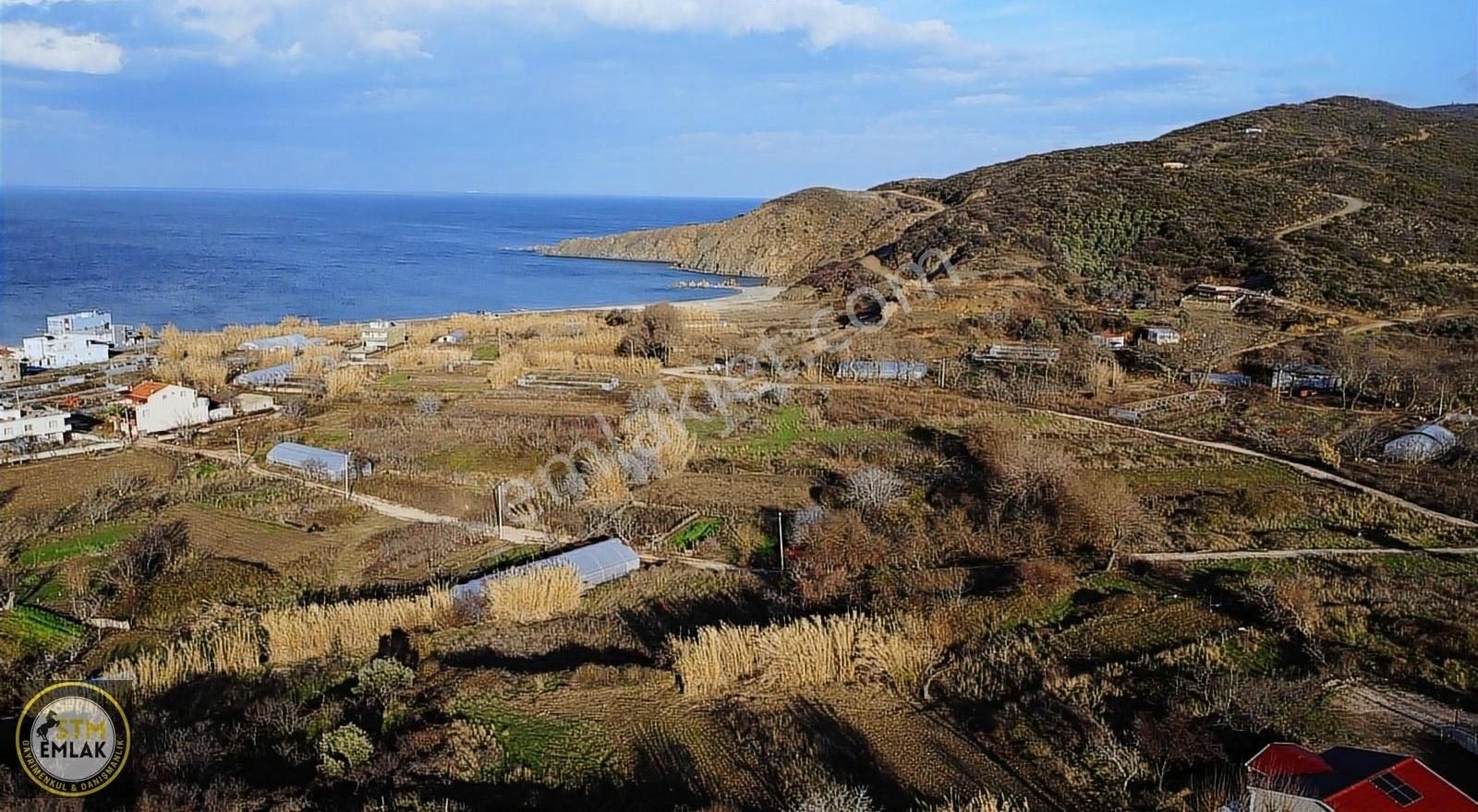 Bandırma Yenice Satılık Tarla Stm Emlak Tan Sahil Yenice Mh Satılık Denize Yakın Arazi