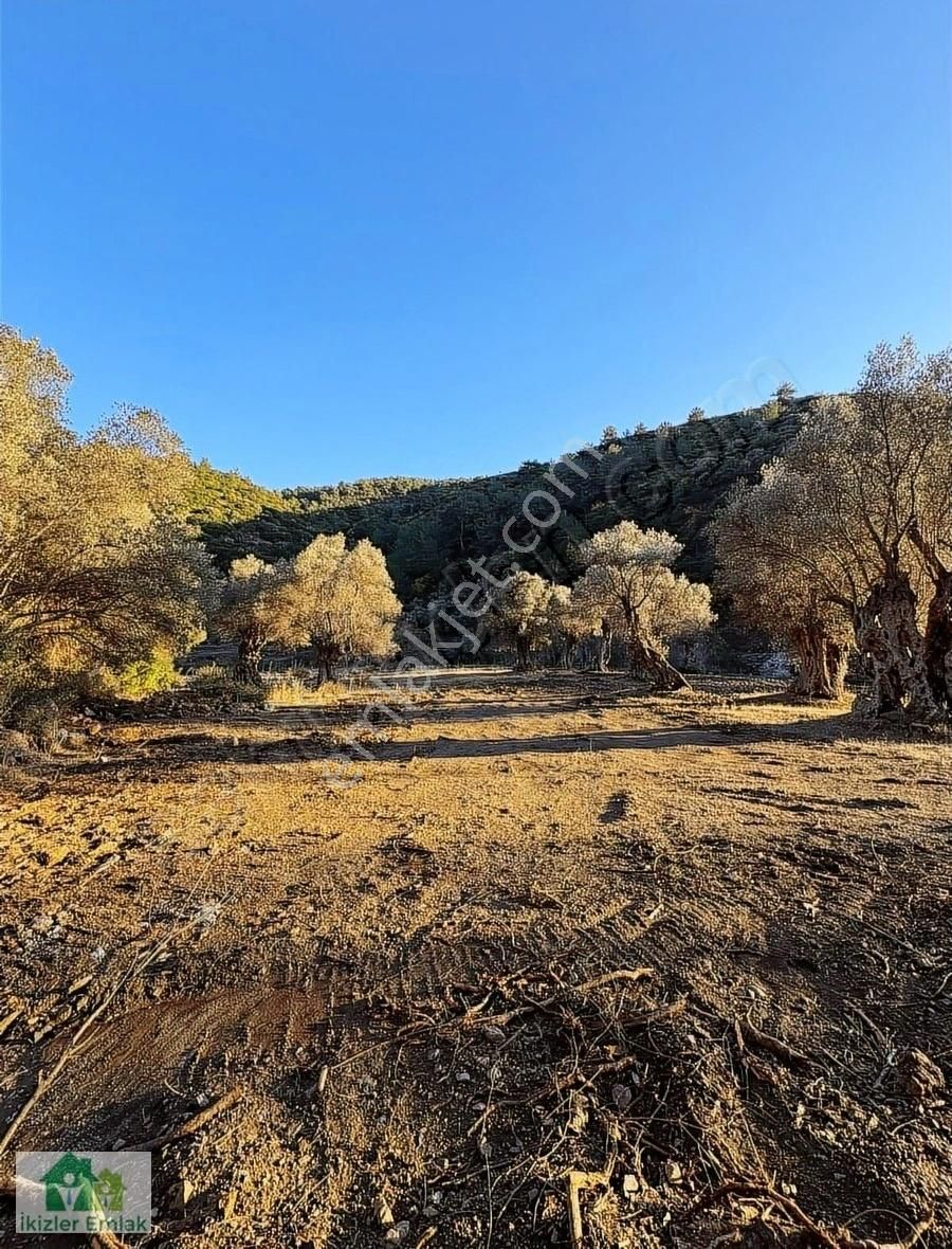 İzmir Güzelbahçe Çamlı'da Satılık 190m2 Resmi Tapulu Arsa - Görsel 3