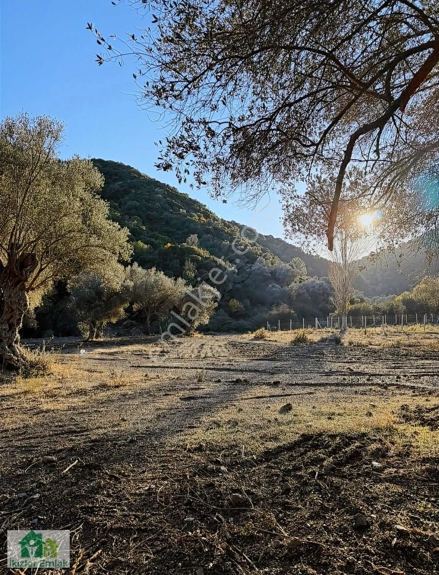 Güzelbahçe Çamlı Satılık Zeytinlik İzmir Güzelbahçe Çamlı'da Satılık 190m2 Resmi Tapulu Arsa