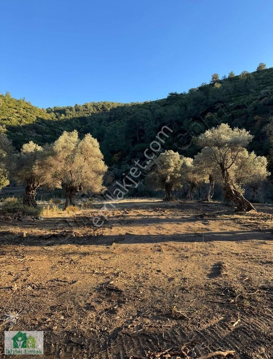 İzmir Güzelbahçe Çamlı'da Satılık 190m2 Resmi Tapulu Arsa - Görsel 5