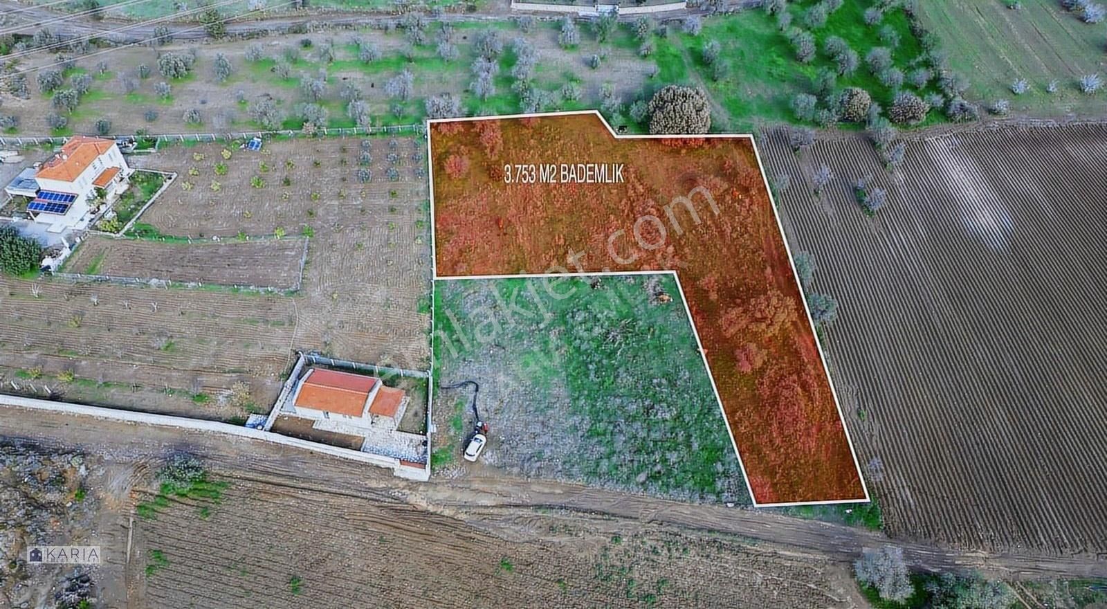 Datça Kızlan Satılık Tarla Kw Karia Dan Kızlan Da Resmi Yolu Olan 3753 M2 Bademlik