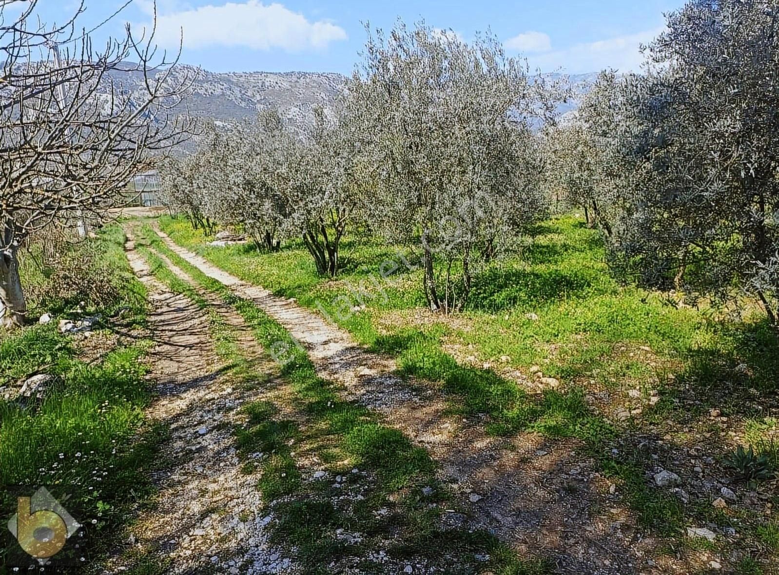 Seydikemer Golbent Satılık Tarla - Görsel 3
