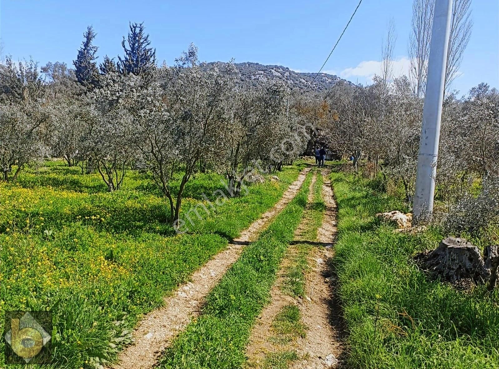 Seydikemer Gölbent Satılık Tarla Seydikemer Golbent Satılık Tarla