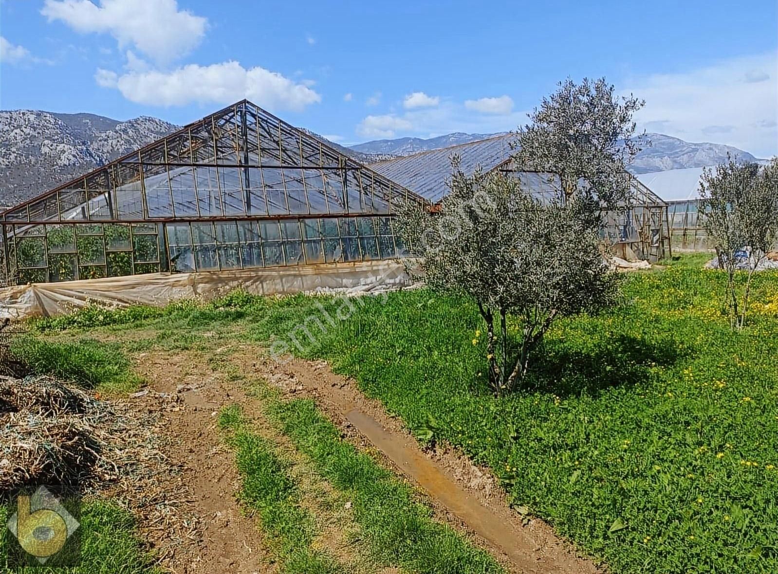 Seydikemer Golbent Satılık Tarla - Görsel 12