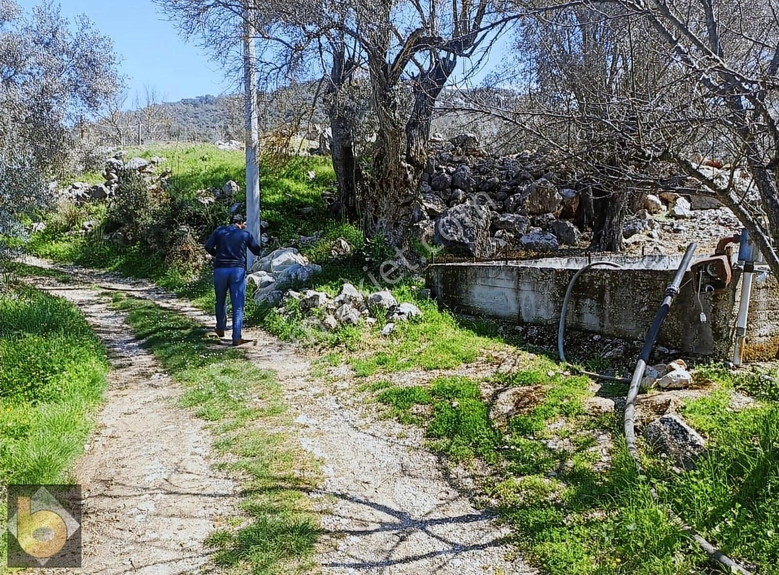 Seydikemer Golbent Satılık Tarla - Görsel 5