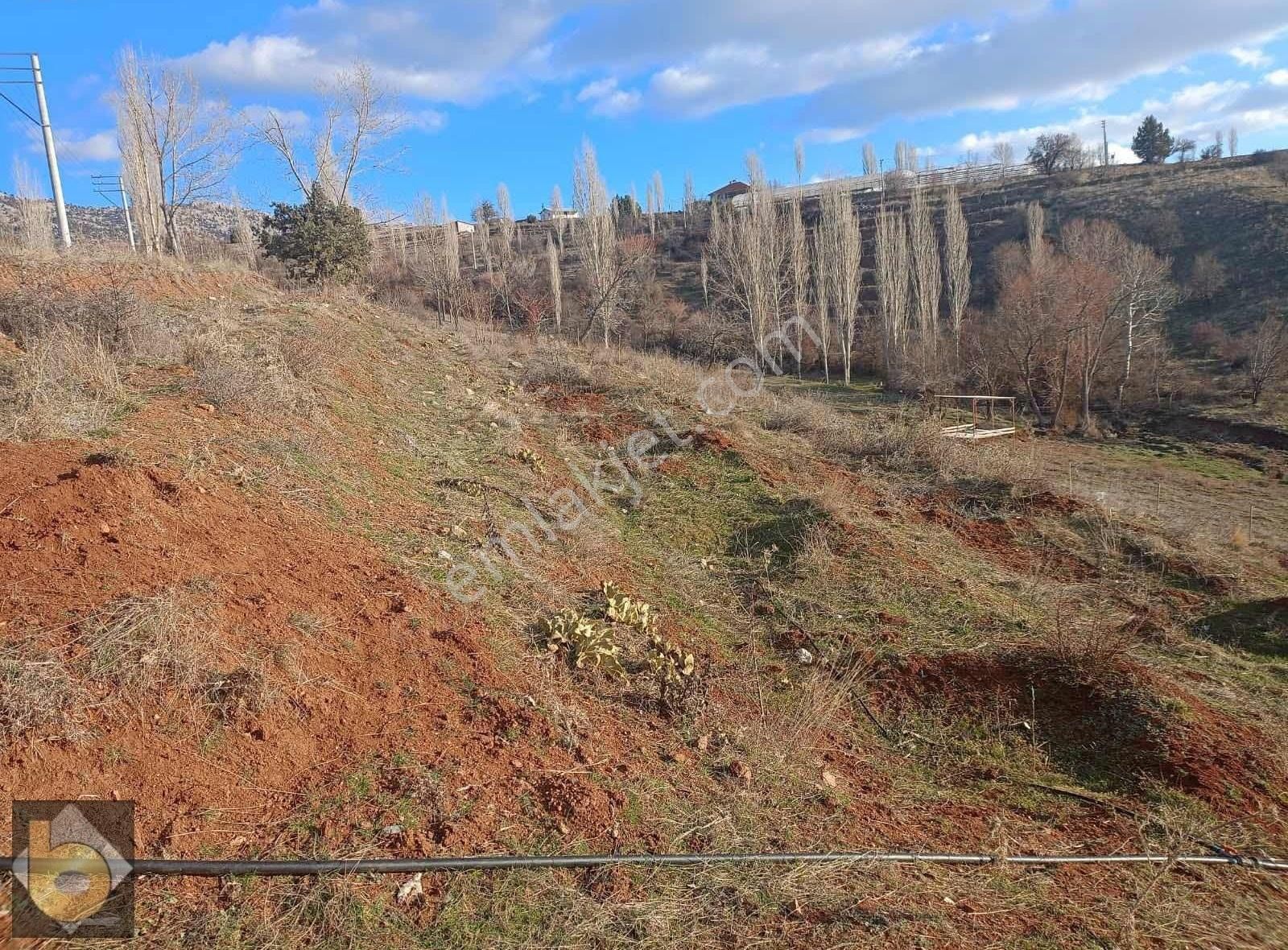 Seydikemer Doğanlar Satılık Tarla Seydikemer Yayla Doğanlarda 2006m2 Tarla