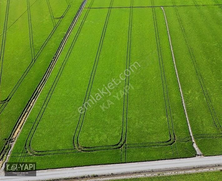 Karacabey Yolağzı Satılık Tarla Karacabey Ovasında 52 Dönüm Yol Su Elektirik Fırsat Tarla *) :)