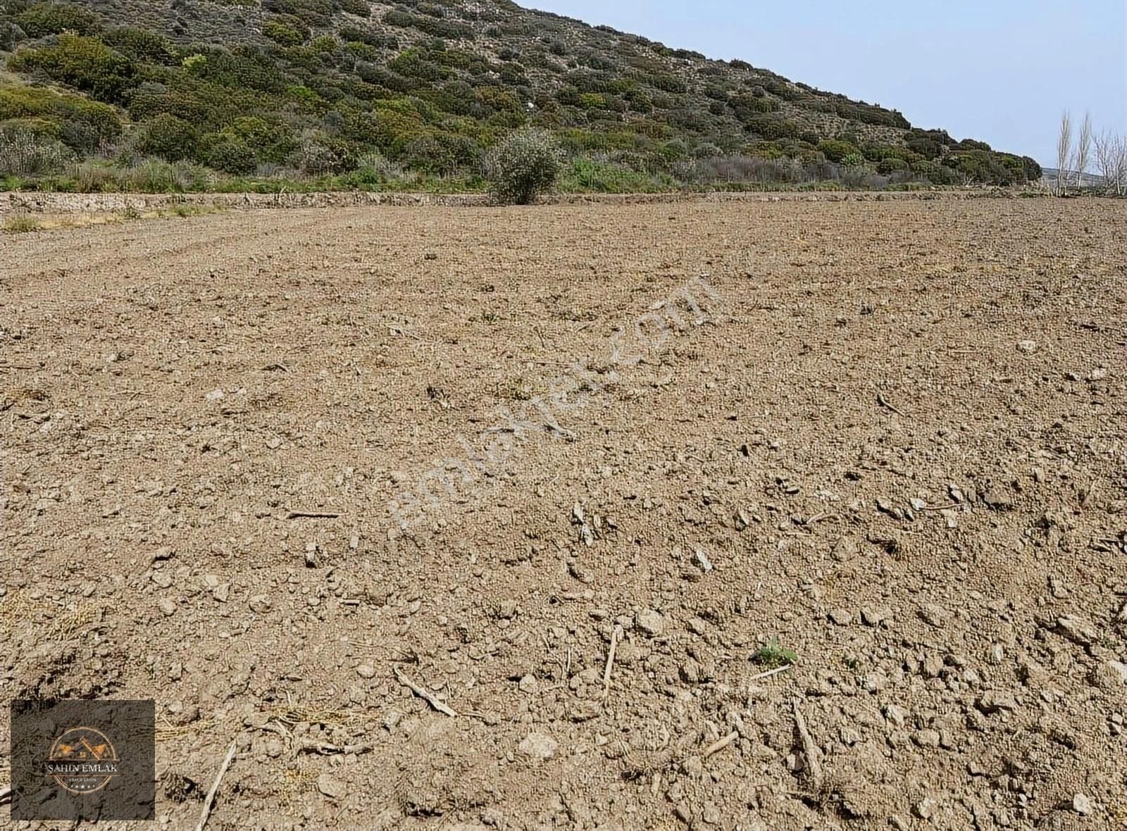 Tire Kurşak Satılık Tarla Şahin Gayrimenkul Den Kurşak Köyünde Acil Satılık 12,370m2 Tarla