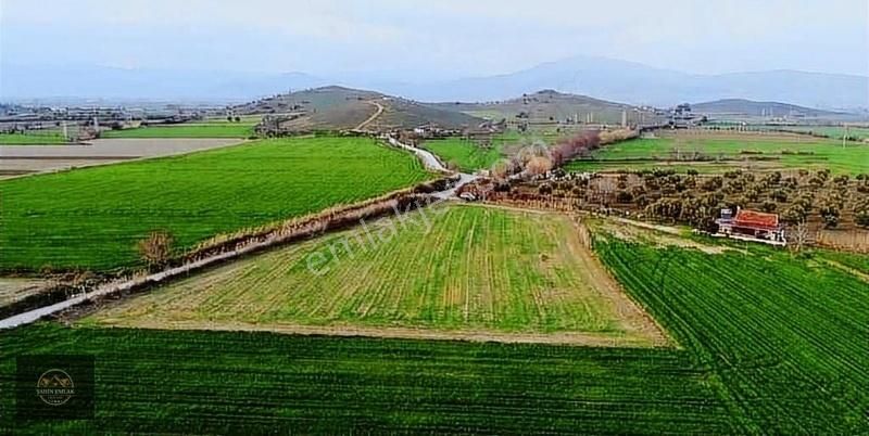 Tire Adnan Menderes Satılık Tarla Şahin Gayrimenkul Den Adnan Menderes Mah Yola Sıfır Tarla