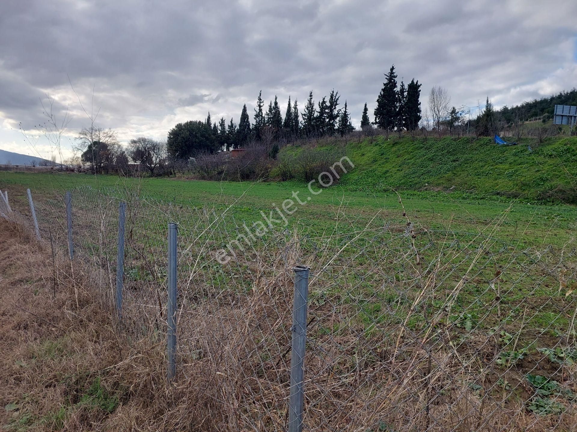 Osmangazi İsmetiye Satılık Tarla Bursa İsmetiyede Satılık Otobana Çok Yakın Boydanboya Kadastral Yola Cepheli 8300m2 Tarla