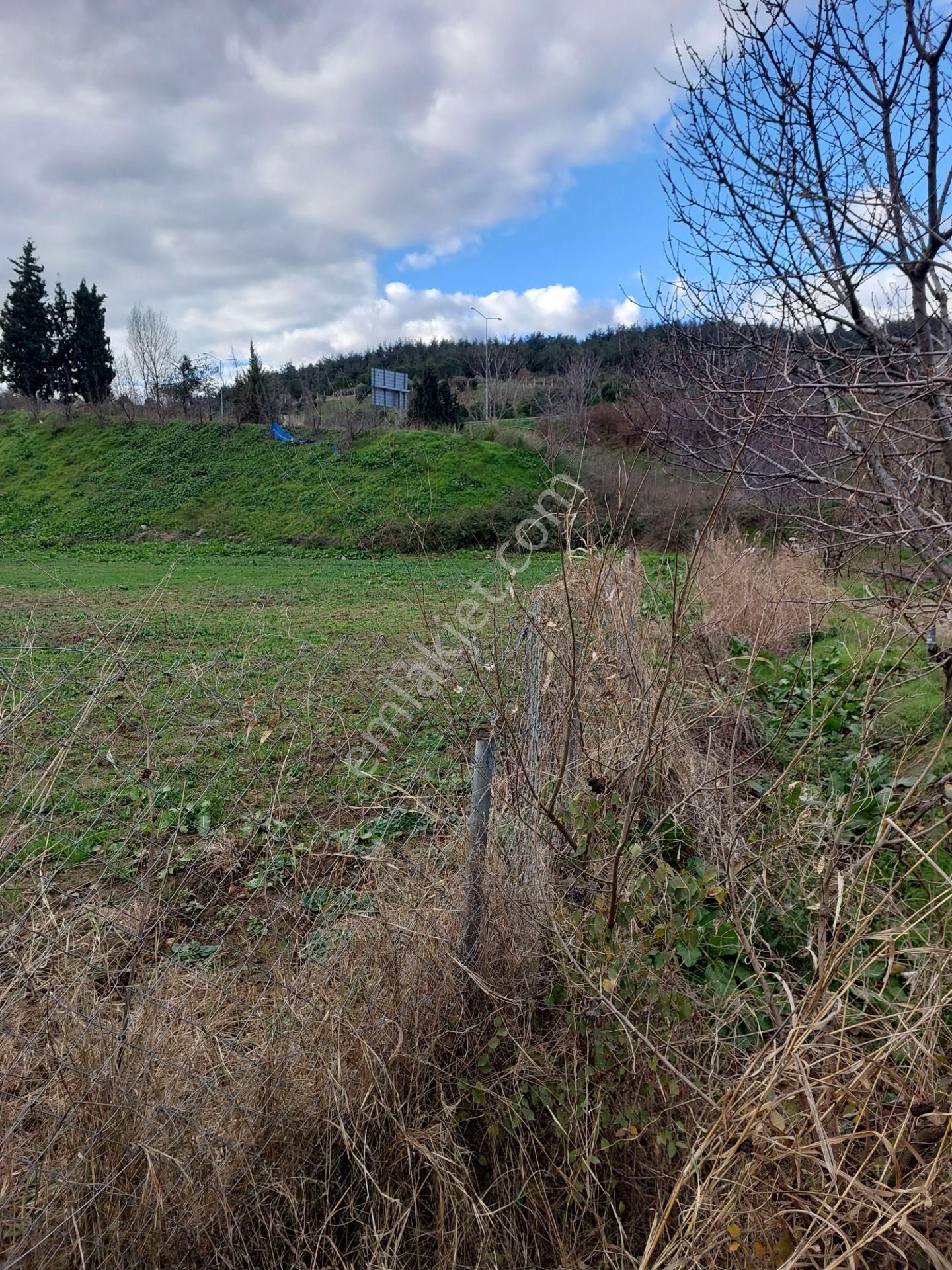 Bursa İsmetiyede Satılık Otobana Çok Yakın Boydanboya Kadastral Yola Cepheli 8300m2 Tarla - Görsel 5