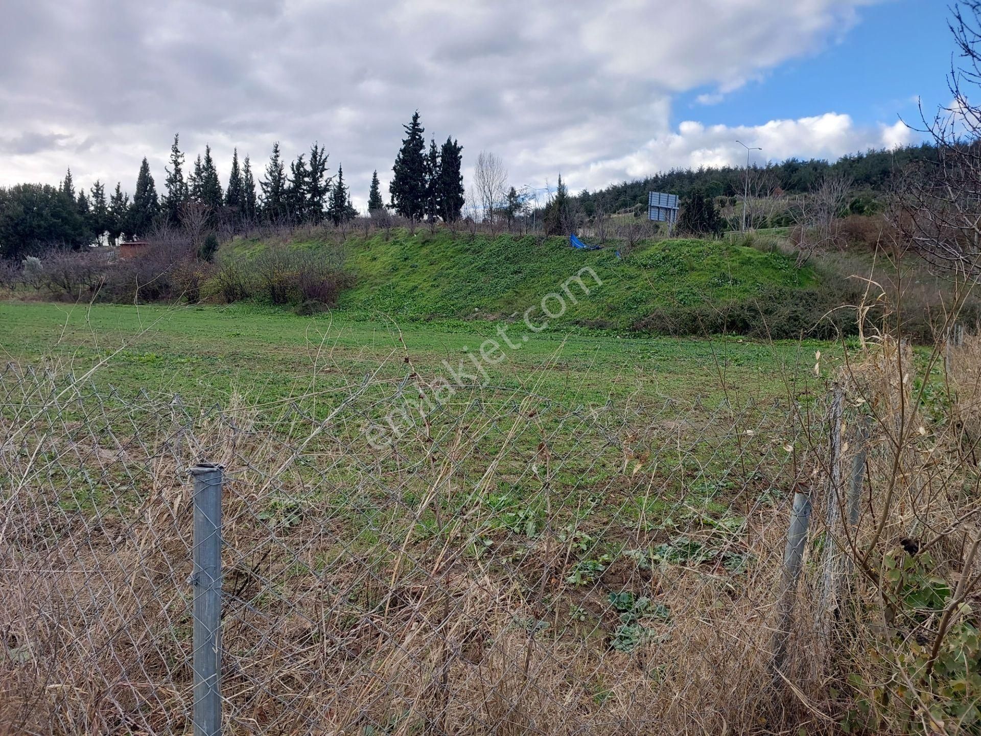Bursa İsmetiyede Satılık Otobana Çok Yakın Boydanboya Kadastral Yola Cepheli 8300m2 Tarla - Görsel 2