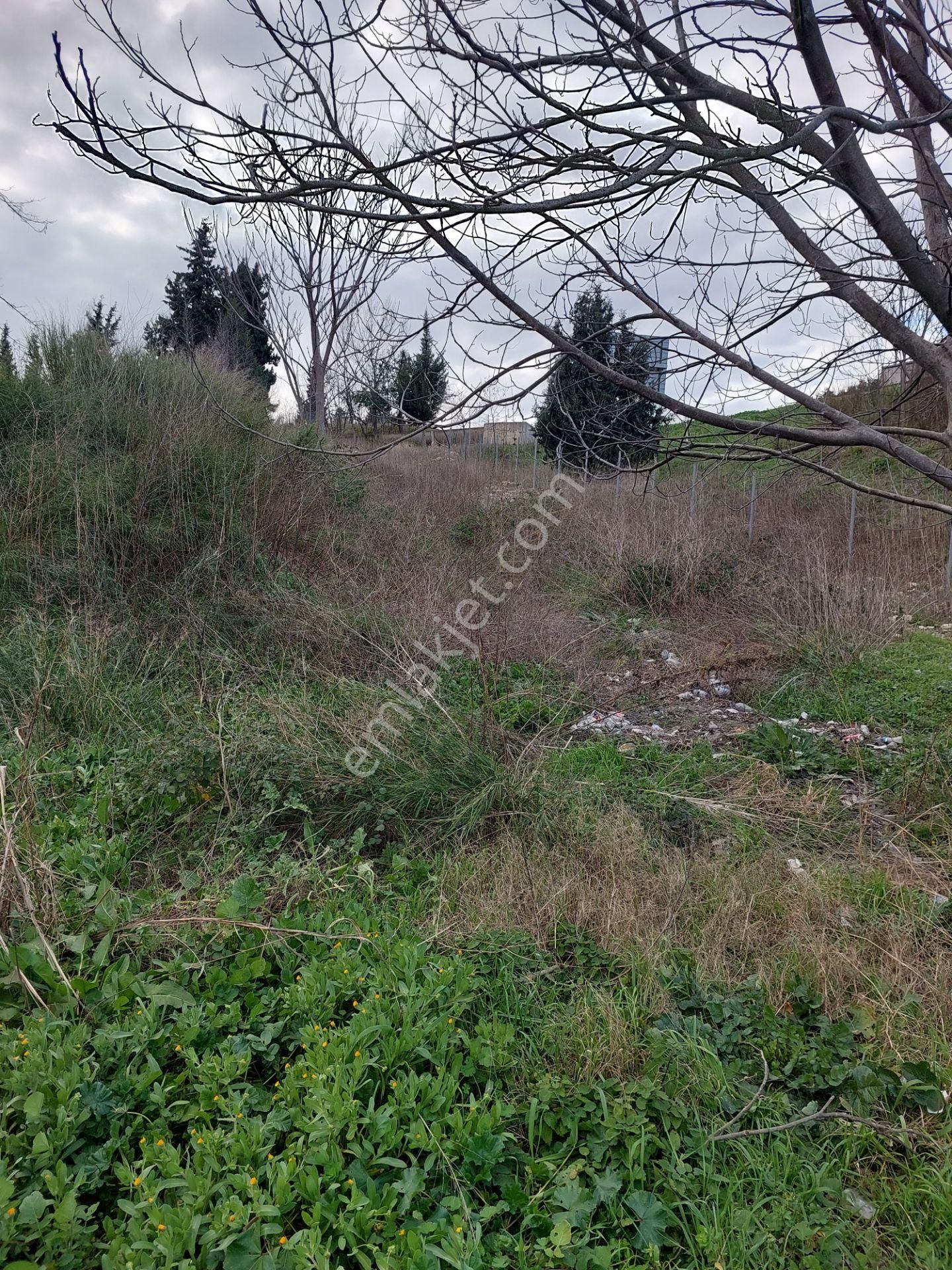 Bursa İsmetiyede Satılık Otobana Çok Yakın Boydanboya Kadastral Yola Cepheli 8300m2 Tarla - Görsel 12