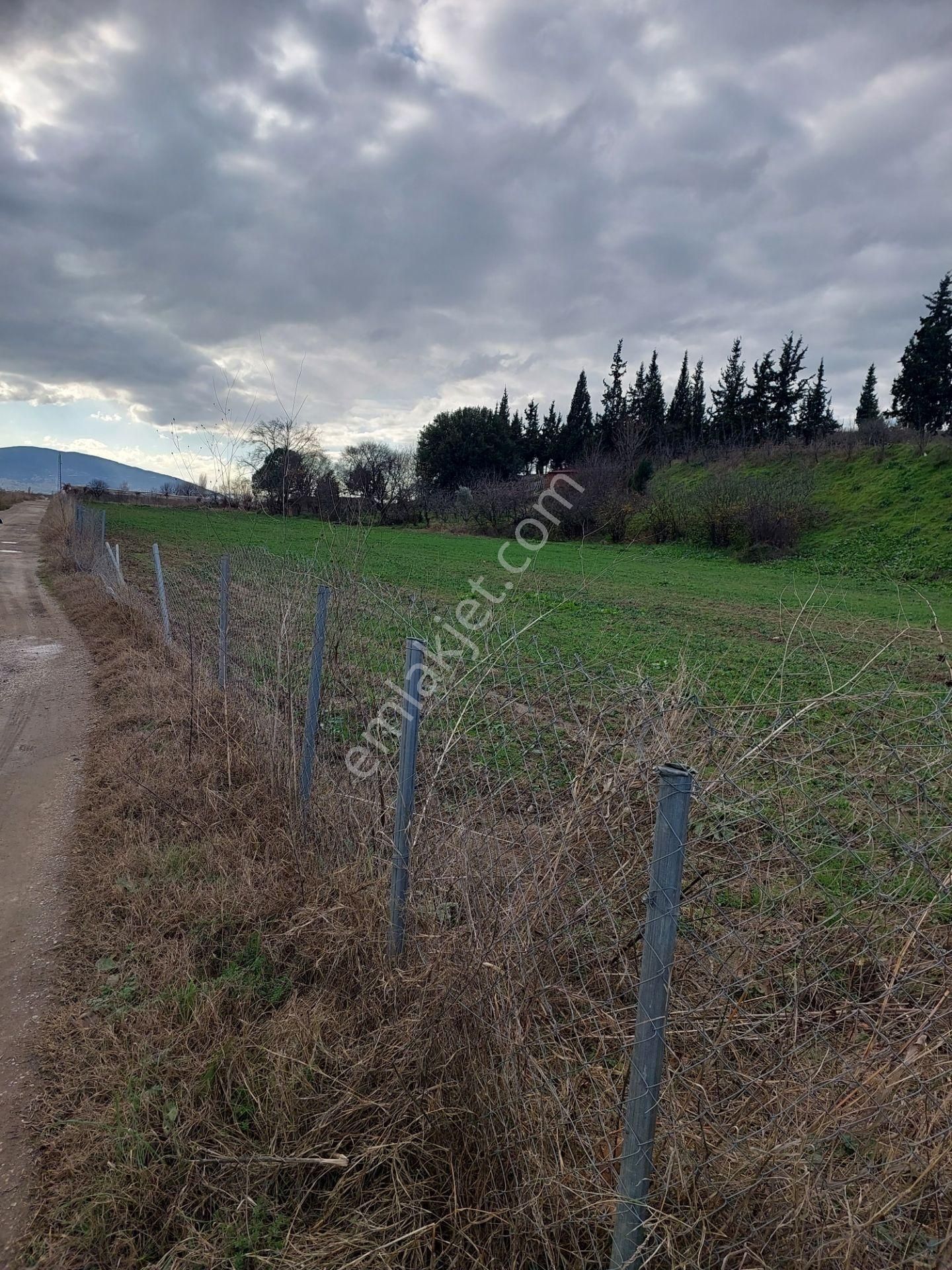 Bursa İsmetiyede Satılık Otobana Çok Yakın Boydanboya Kadastral Yola Cepheli 8300m2 Tarla - Görsel 4