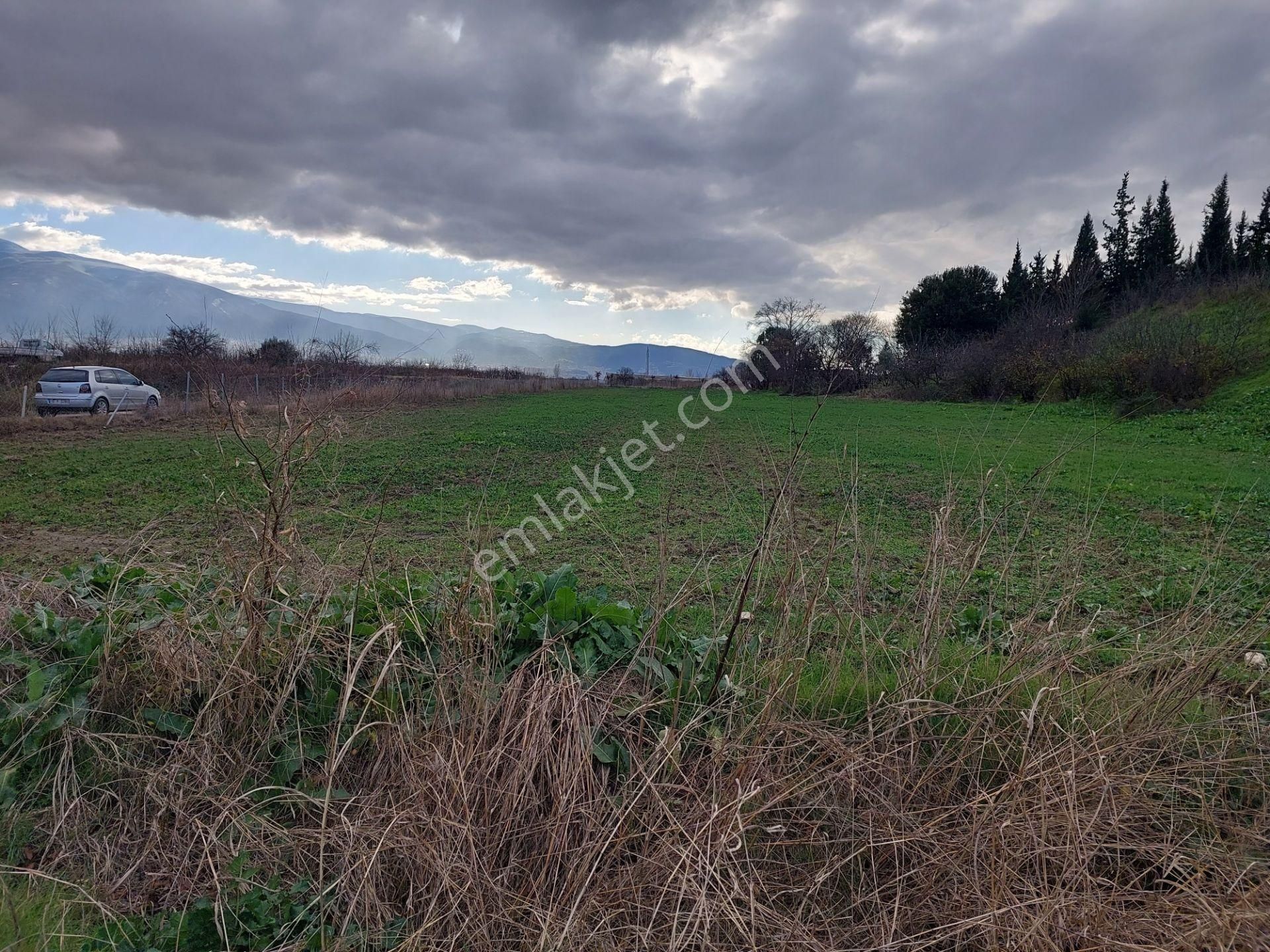 Bursa İsmetiyede Satılık Otobana Çok Yakın Boydanboya Kadastral Yola Cepheli 8300m2 Tarla - Görsel 6