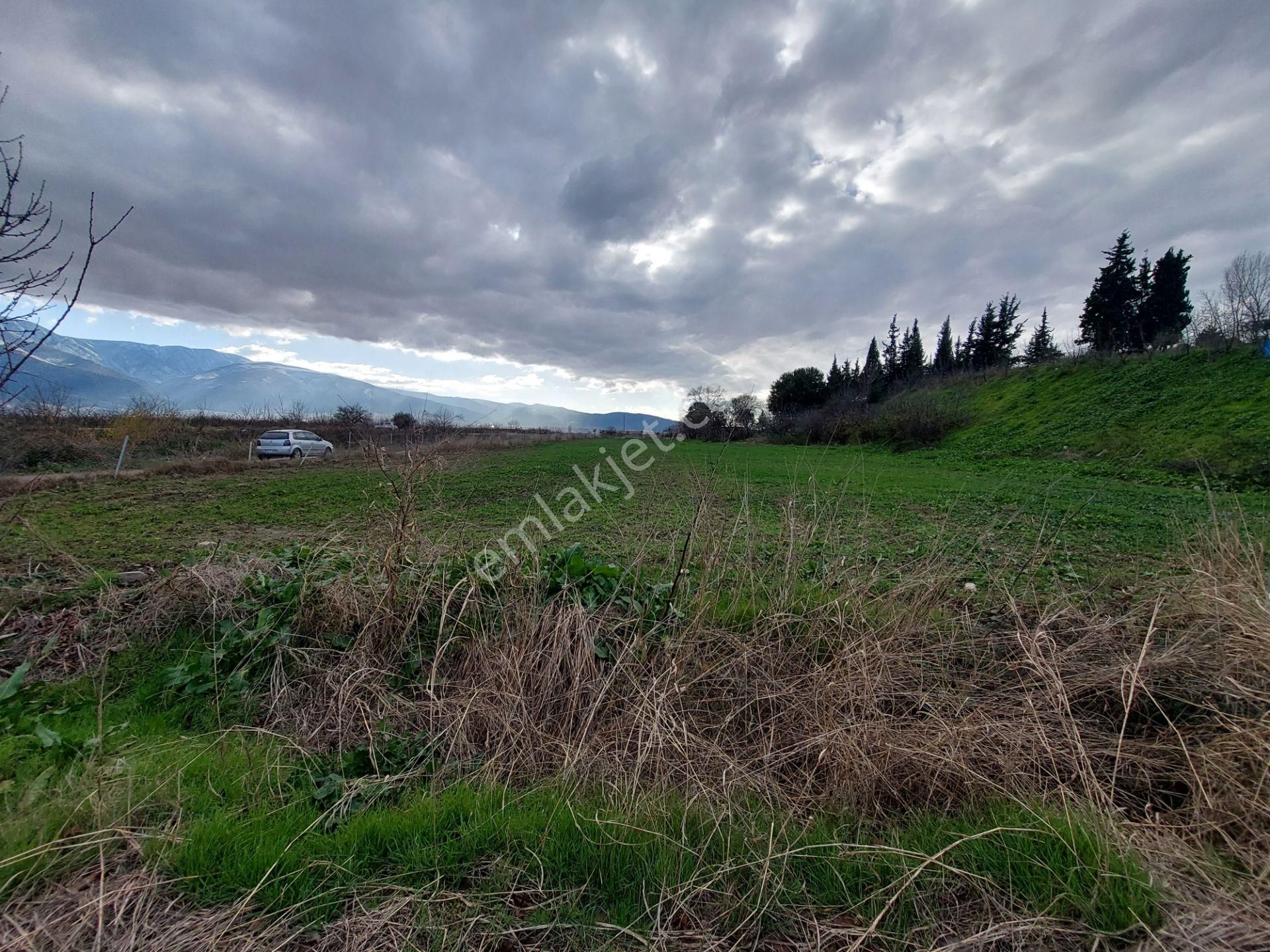 Bursa İsmetiyede Satılık Otobana Çok Yakın Boydanboya Kadastral Yola Cepheli 8300m2 Tarla - Görsel 7