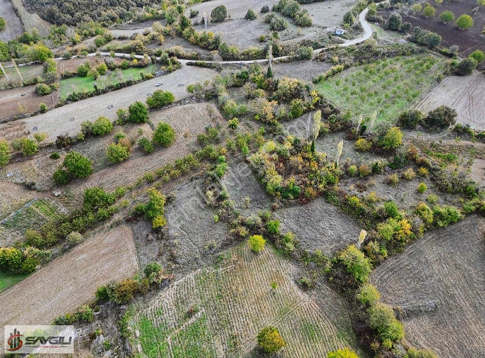 Yenişehir Gökçesu Satılık Bağ & Bahçe Yenişehir Gökçesuda 929 M2 Köye 200 Mt Mesafede Satılık Bahçe