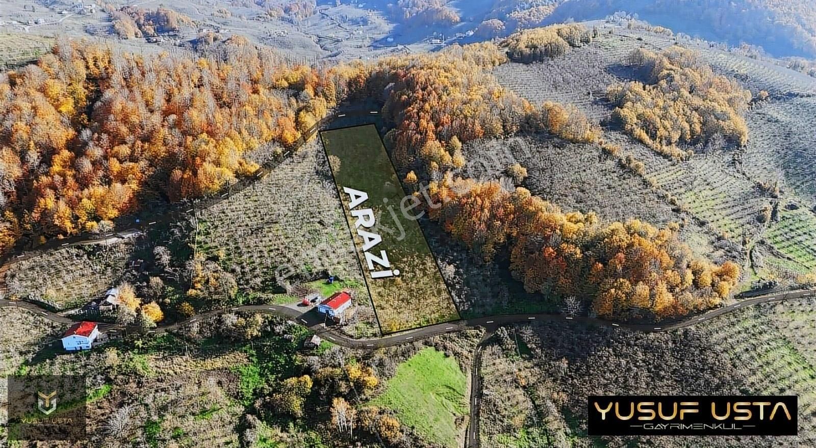 Yusuf Usta Gayrimenkul'den Düzköy'de Satılık 2500m² Fındıklık - Görsel 5